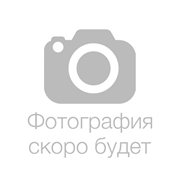 Фильтр озоновый Kyocera (302GR33080) 271